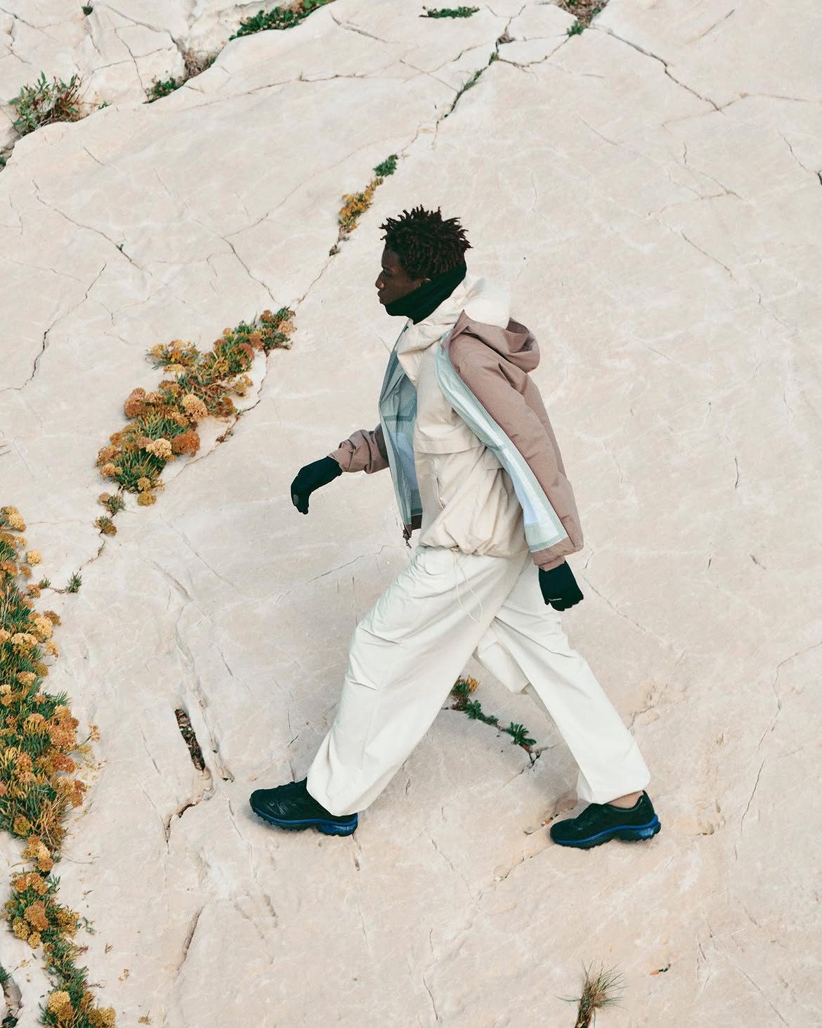 SALOMON CAMPAIGN 