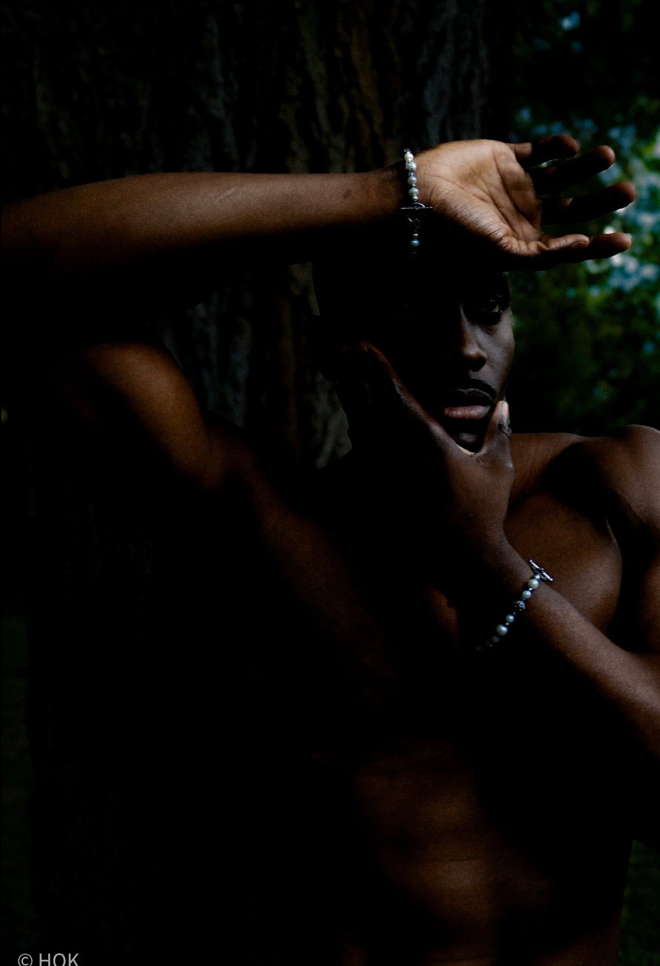 Aevis Lya Editorial