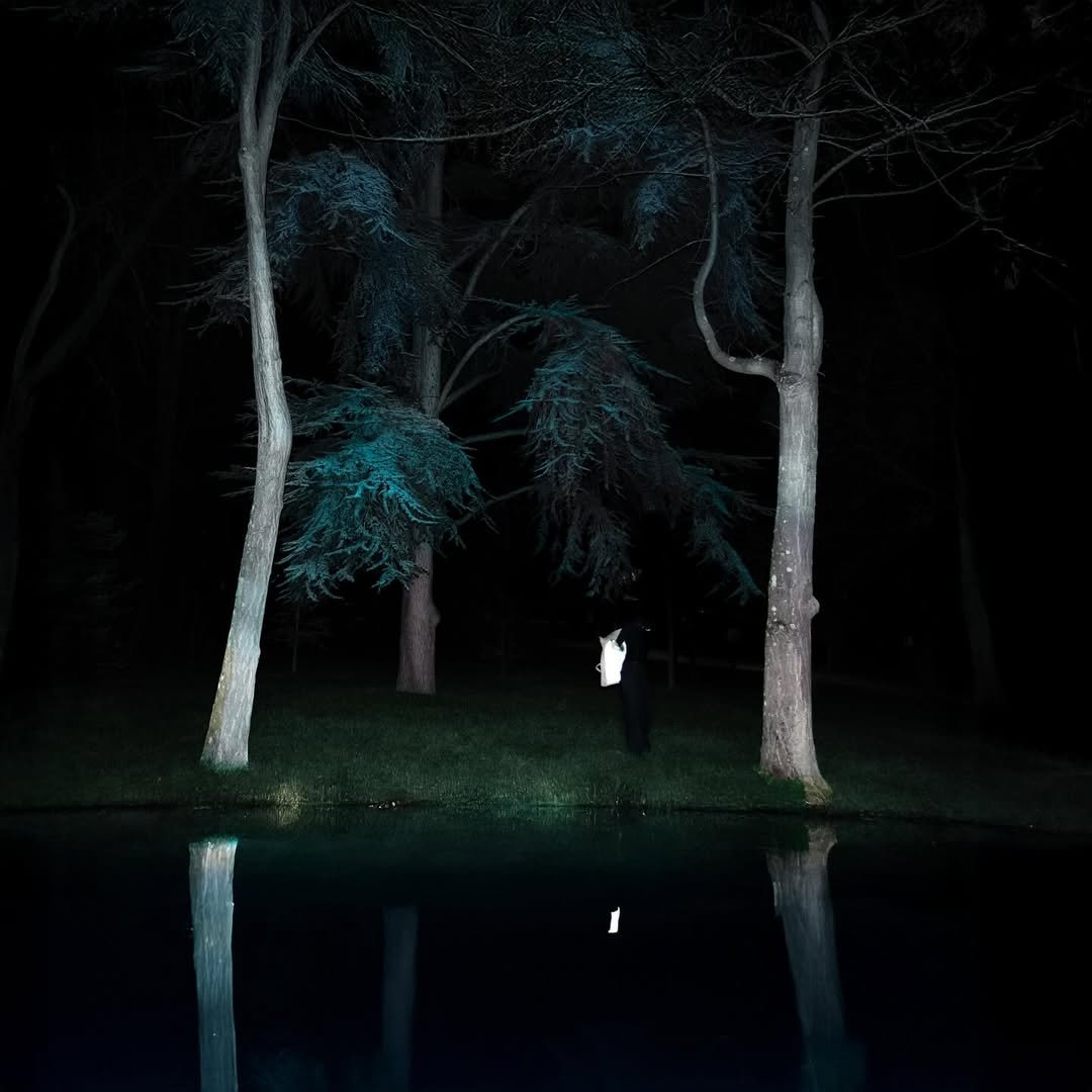 Dernier projet Maëli